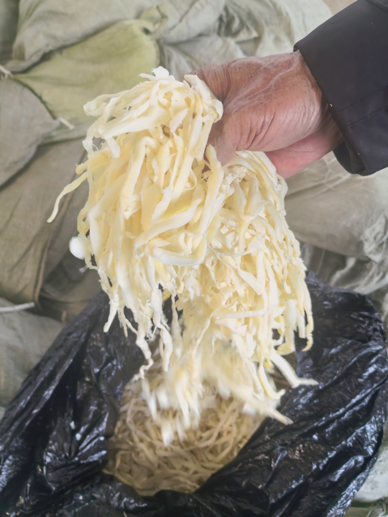 凉拌手撕笋丝，麻竹笋尖，常年有货，实力雄厚，欢迎骚扰