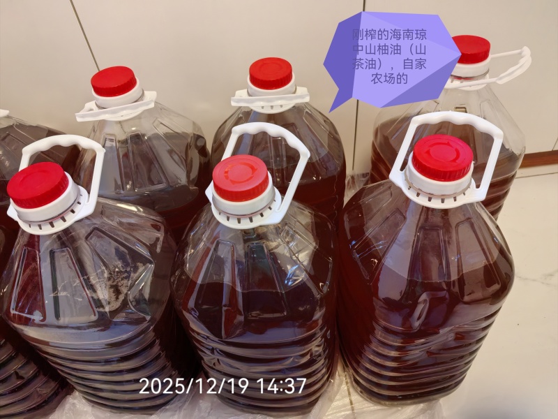 正宗海南山茶油（山柚油）基地直发