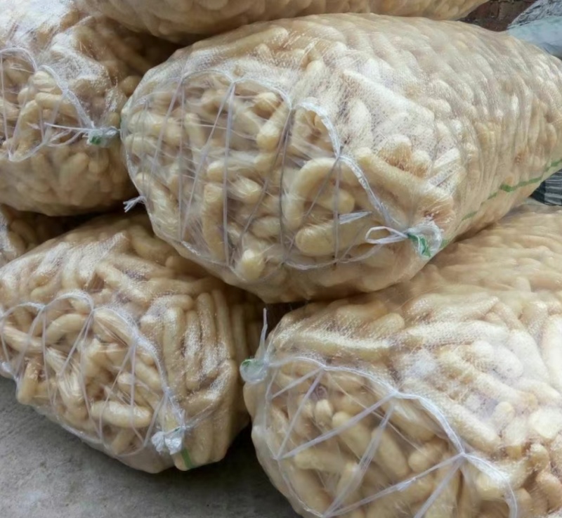 武穴市区域传统黄豆、豆制品干货，汤菜一类好搭配菜