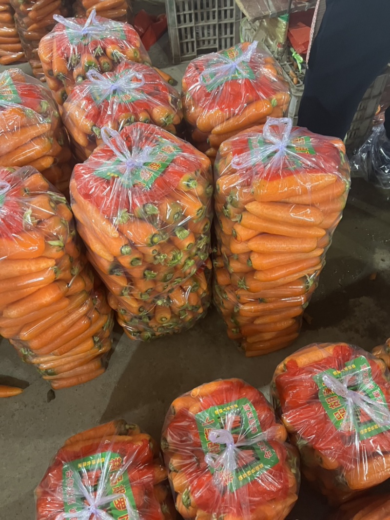 胡萝卜市场，三红胡萝卜超市，加工，酱菜，养殖，大量发全国