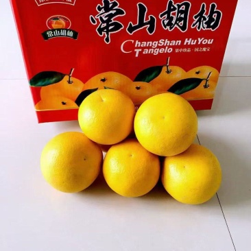 浙江常山胡柚果子