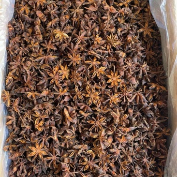 广西古龙镇深山老树八角天然种植，绿色无公害，香味浓郁