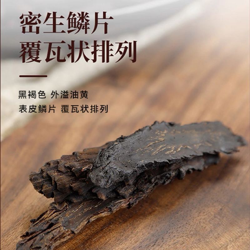 【油性丰富】拾农者肉苁蓉内蒙阿拉善苁蓉片整根软质切片