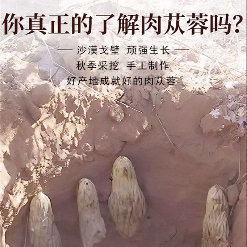 【油性丰富】拾农者肉苁蓉内蒙阿拉善苁蓉片整根软质切片
