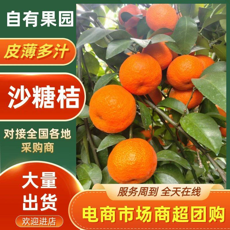 广西沙糖桔，保质保量，量大价优，产地直发，欢迎咨询
