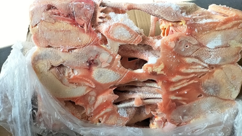 二级老母鸡
