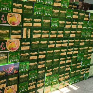 广丰大南源头基地马家柚