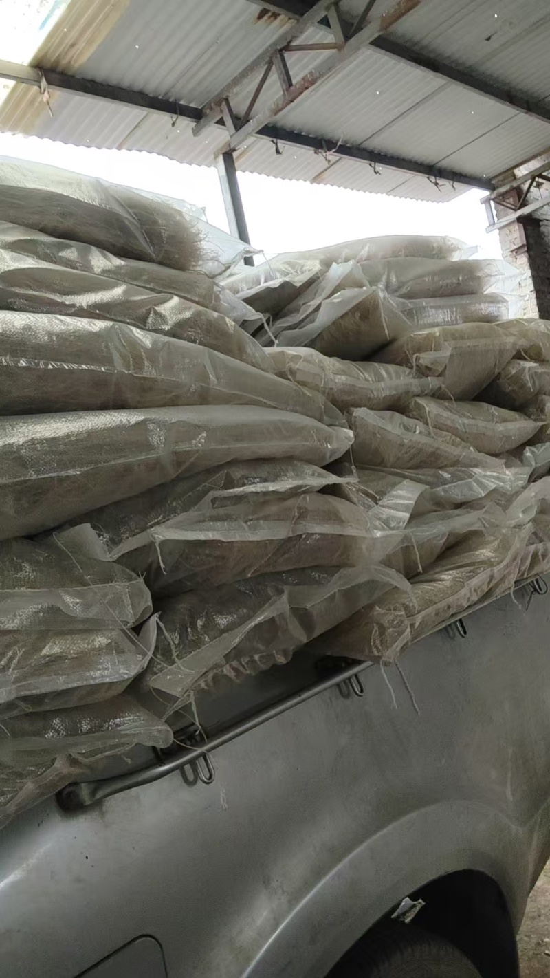 河南襄城特产纯手工红薯粉条量大价优全国发货欢迎随时联系