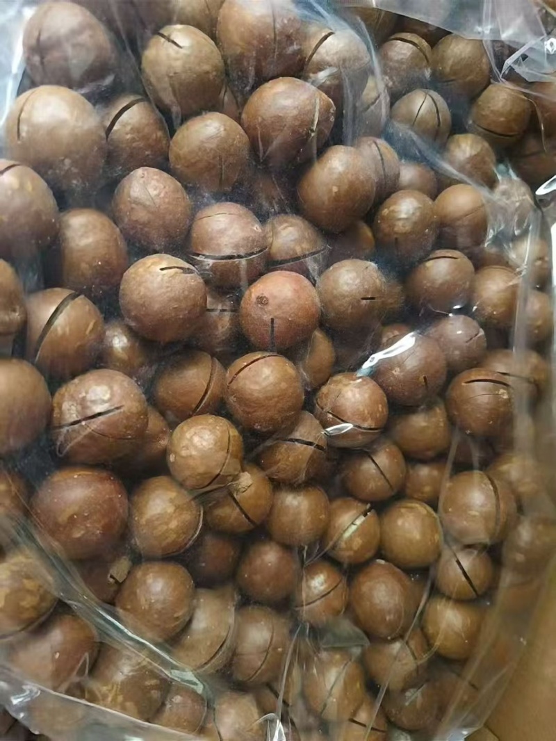 夏威夷果奶香味