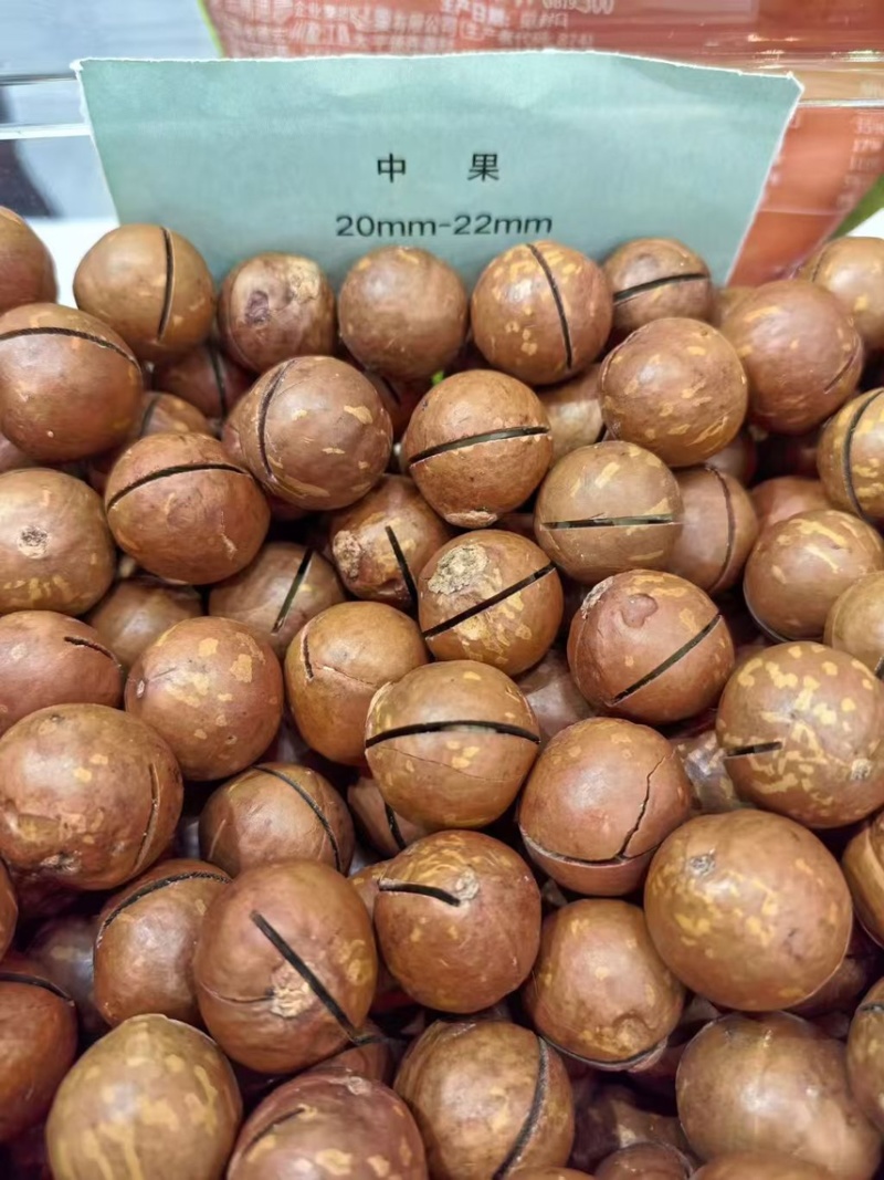 夏威夷果奶香味