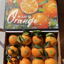 【包邮】江西赣南脐橙/精品礼盒装/万亩基地发往全国