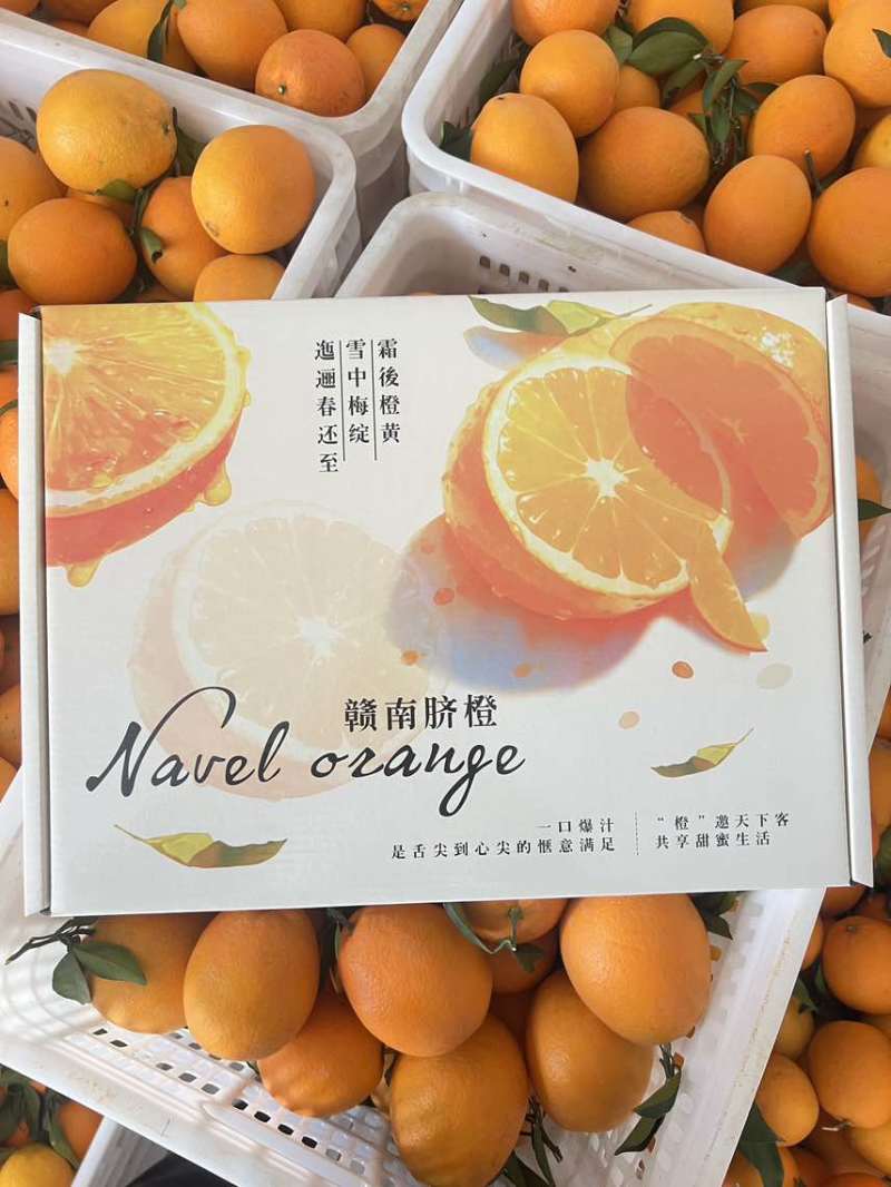 【包邮】江西赣南脐橙/精品礼盒装/万亩基地发往全国