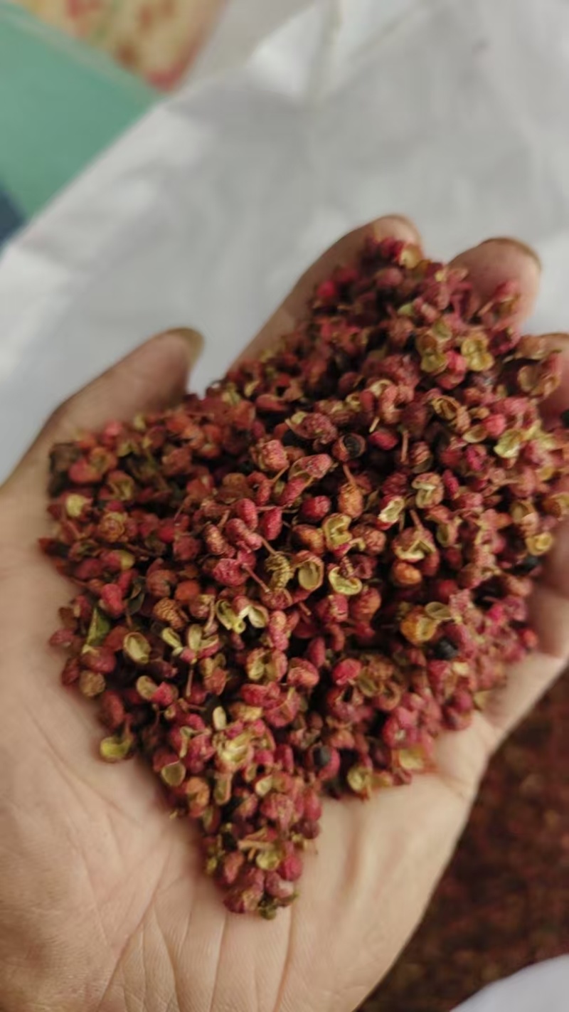 新货大红袍花椒/一手货源/香辣鲜美/基地直发品质优可看货