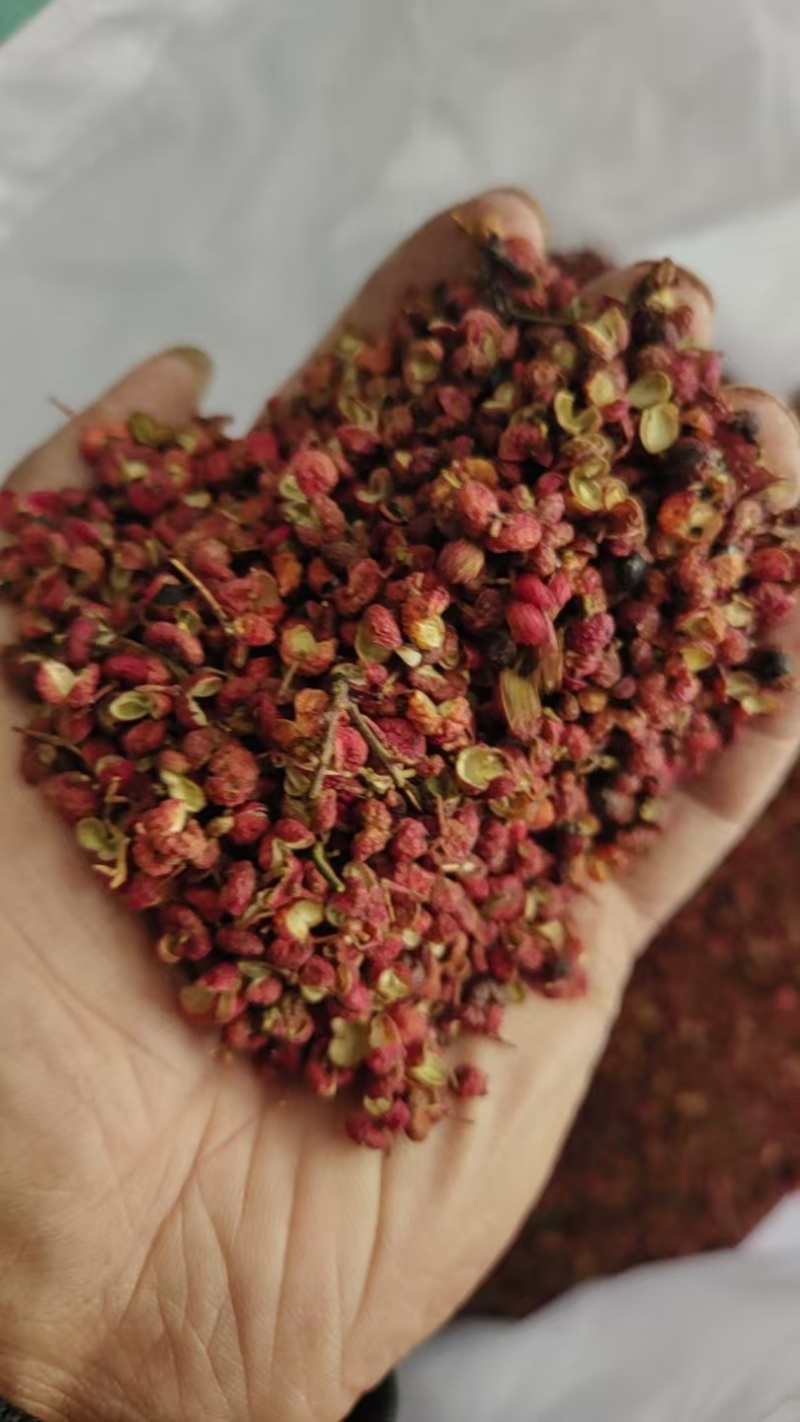 新货大红袍花椒/一手货源/香辣鲜美/基地直发品质优可看货
