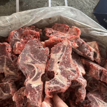 多肉牛脖骨