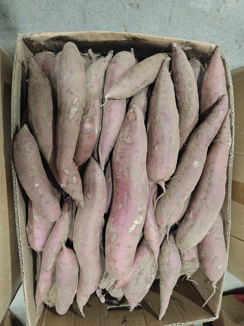 红瑶红薯，清仓出库