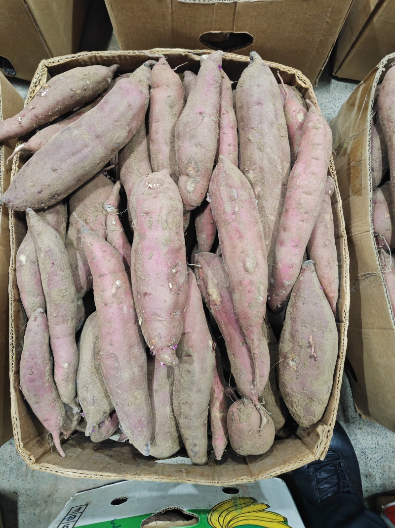 红瑶红薯，清仓出库