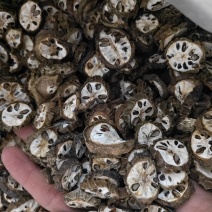 预知子精选预知子切片批发零售量大优惠