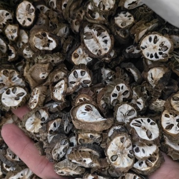 预知子精选预知子切片批发零售量大优惠