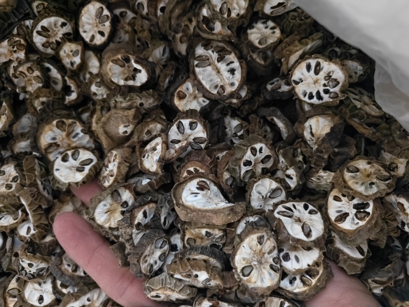 预知子精选预知子切片批发零售量大优惠