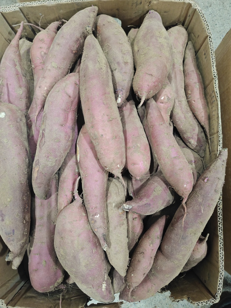 红瑶红薯，清仓出库