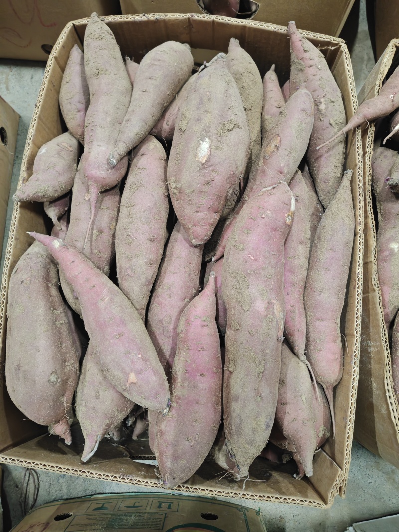 红瑶红薯，清仓出库