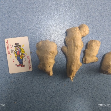 水洗风干老姜头