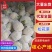 松花菜大量上市，价格从优，质量好，价格低品质有保证
