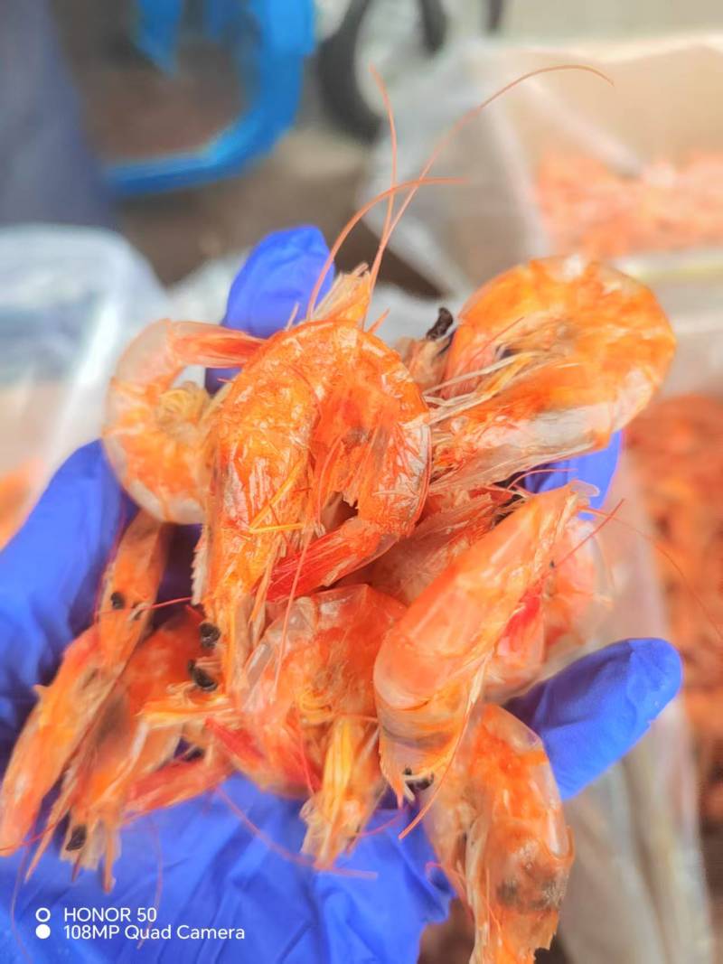 烤虾熟对虾海水大虾煮熟无色素微波烤干口感好新鲜