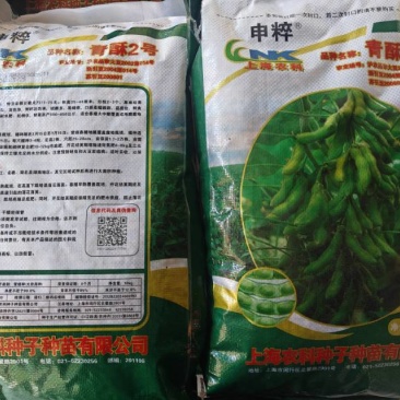毛豆种子