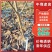 自家培育的车厘子树苗，又名红灯笼，大小都有
