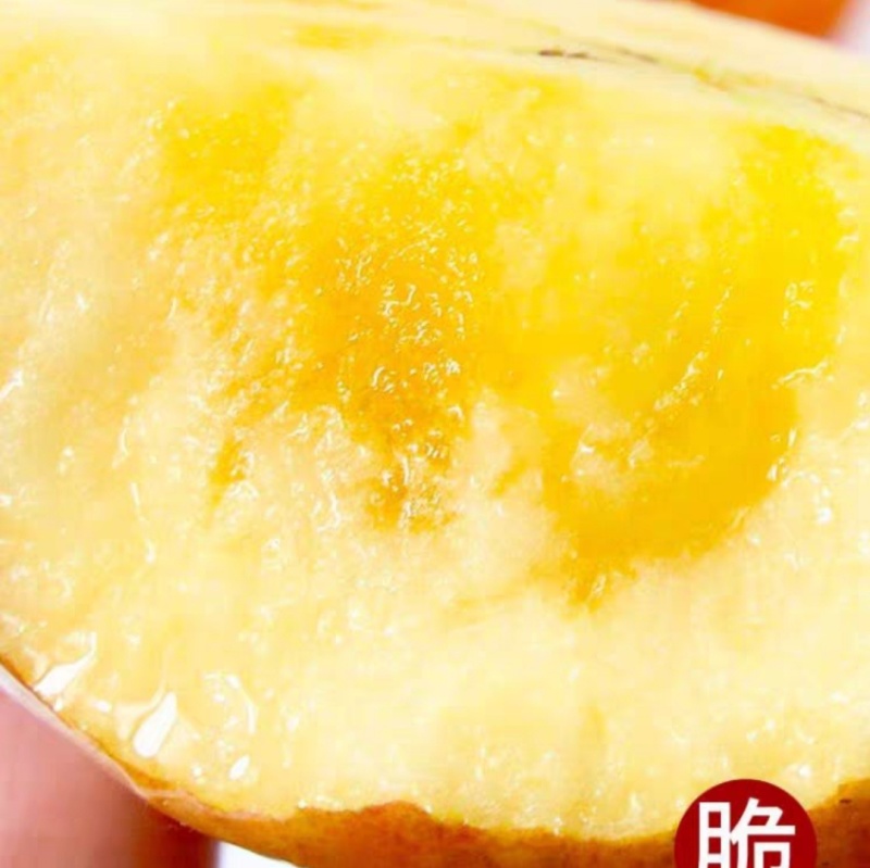 代办代购新疆阿克苏冰糖心红富士苹果，大量有货