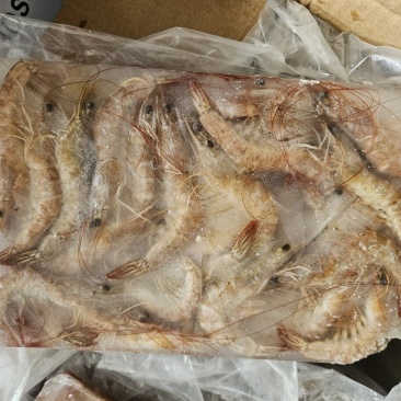 南美白生虾