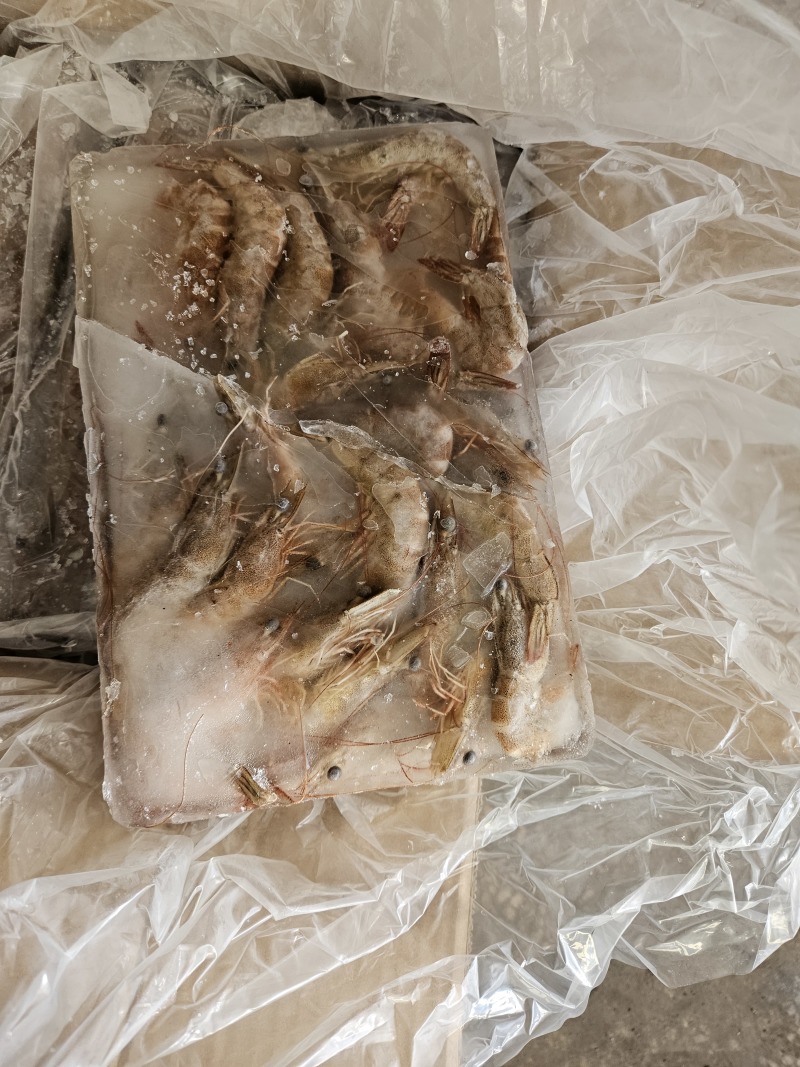 南美白生虾