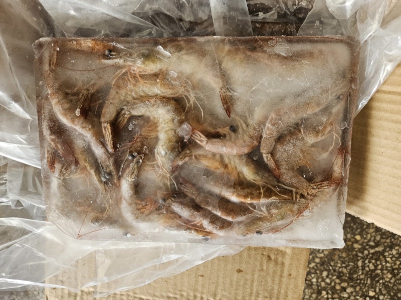 南美白生虾