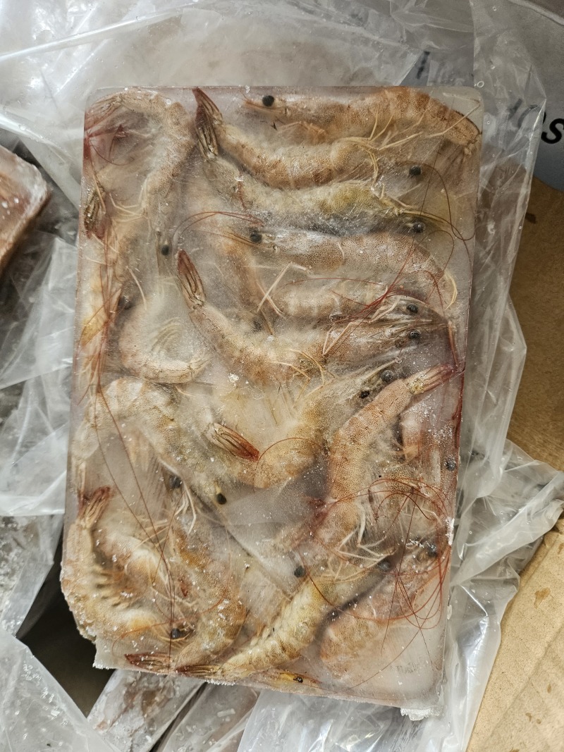 南美白生虾