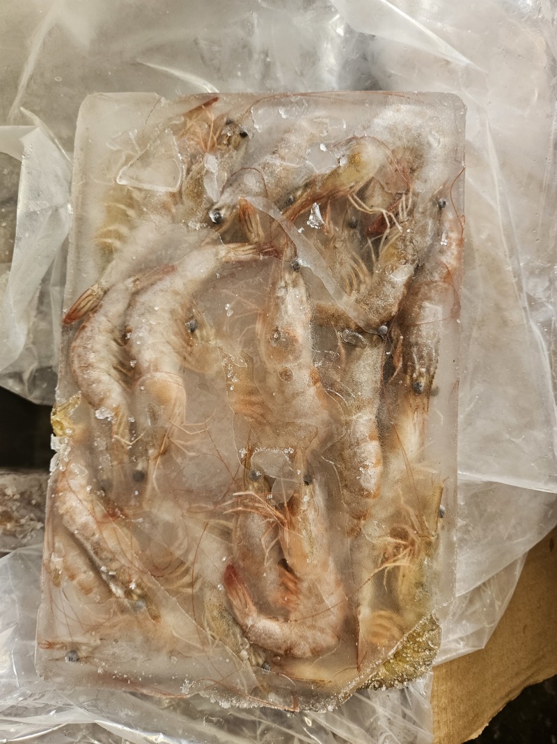 南美白生虾