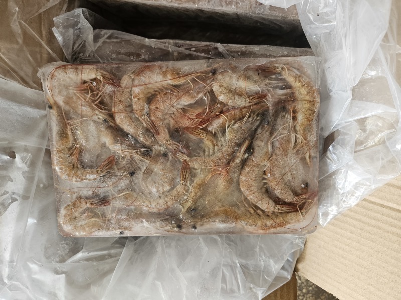 南美白生虾