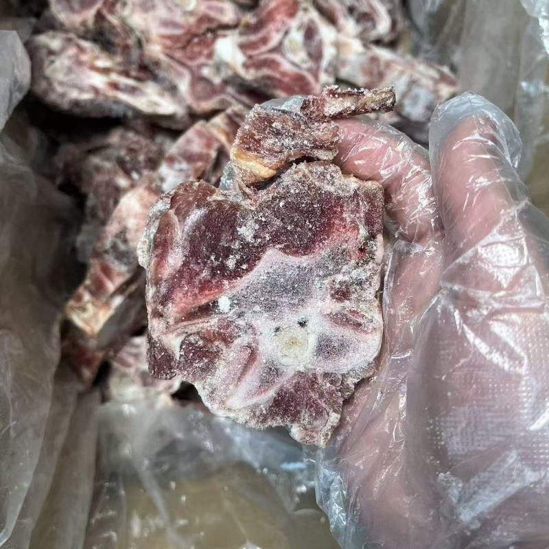 多肉羊蝎子