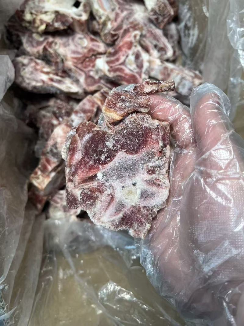 多肉羊蝎子
