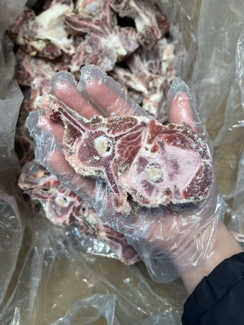 多肉羊蝎子