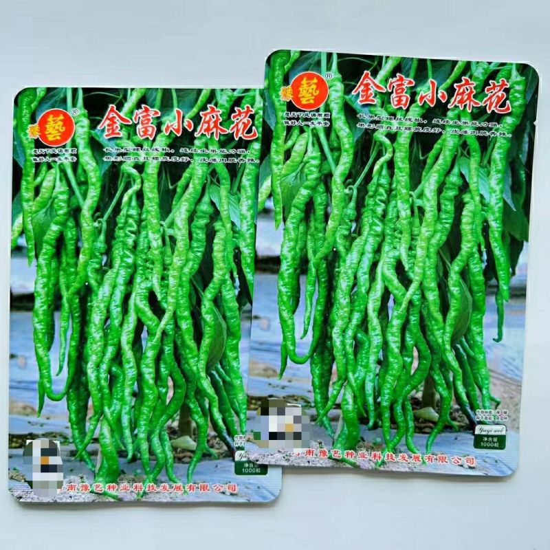 豫艺金富小麻花螺丝椒长果薄皮螺丝线椒种子春秋季丰产抗病
