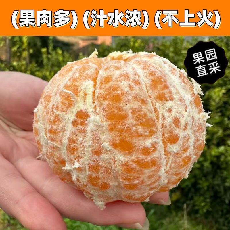 《精选》四川碰柑基地直发保质保量对接商超团购电商一条龙