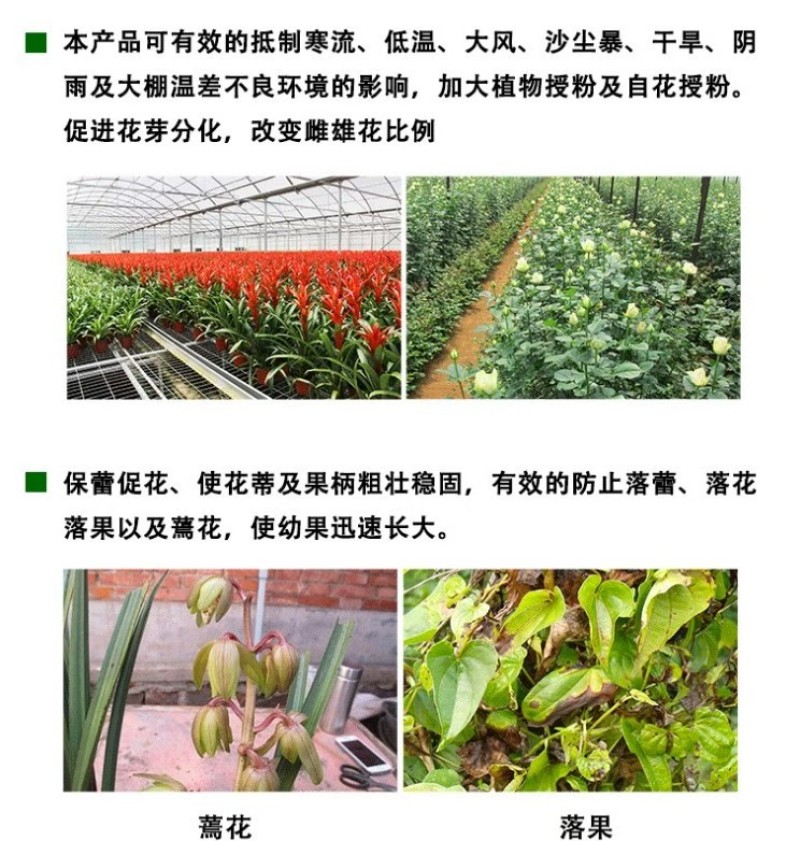 防冻授粉座果精提高座果率保花保果促进授粉催花防冻害