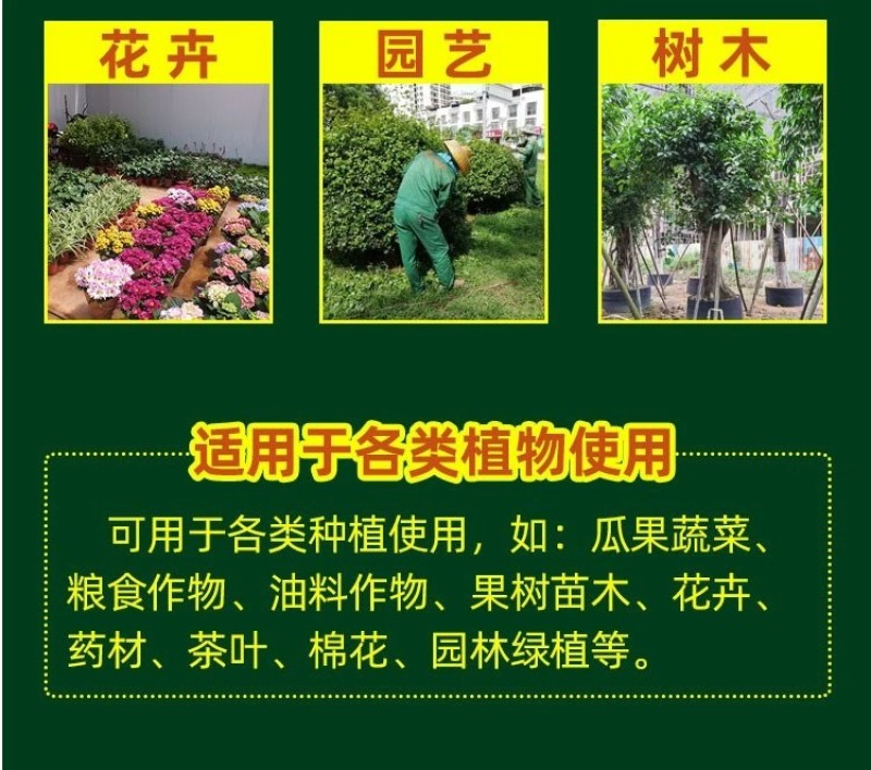 防冻授粉座果精提高座果率保花保果促进授粉催花防冻害