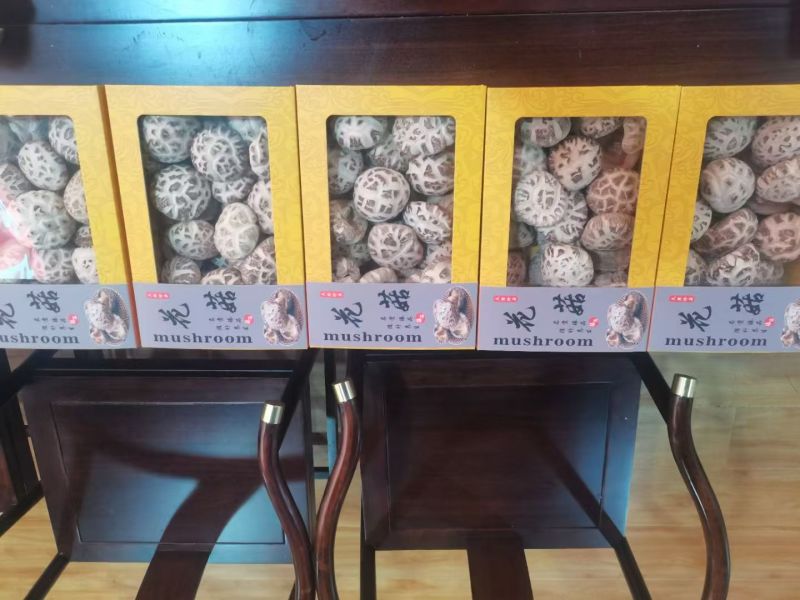 花菇大量供应