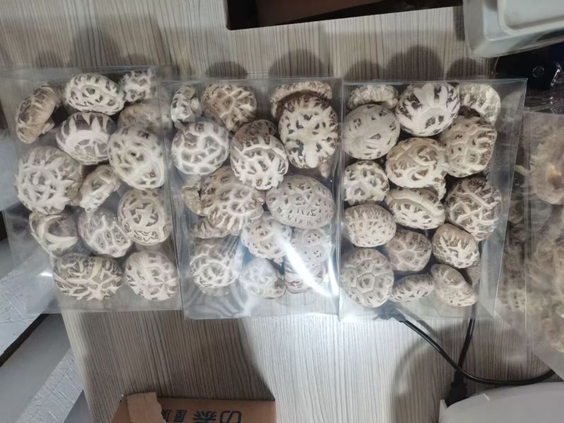 花菇大量供应