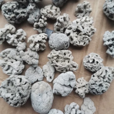 ***中药材海浮石花通货小花中花大花