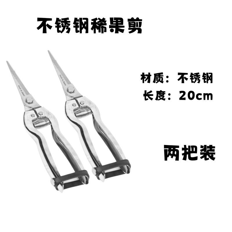 稀果剪子新款葡萄粒尖嘴剪子果树蔬果树枝稀花稀果不锈钢