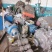 水泵渣浆泵工业泵